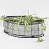 Shabby Chic Decoration Gardening Metal Zinc Plant Pot Wholesale 